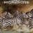 Great Migrations : 1.Sezon 6.Bölüm izle