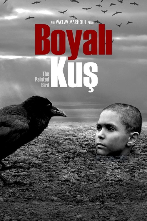 Boyalı Kuş izle