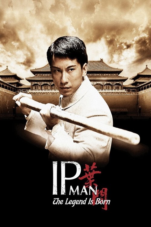 Efsane Doğuyor: Ip Man izle (2010)
