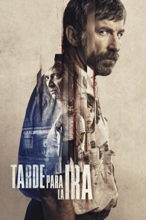Sabırlı Bir Adamın Öfkesi izle (2016)