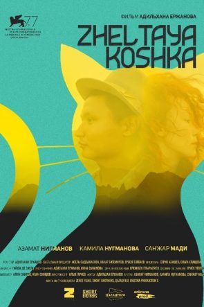 Sarı Kedi izle (2020)