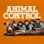 Animal Control : 1.Sezon 3.Bölüm izle