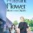 The Fragrant Flower Blooms with Dignity : 1.Sezon 6.Bölüm izle