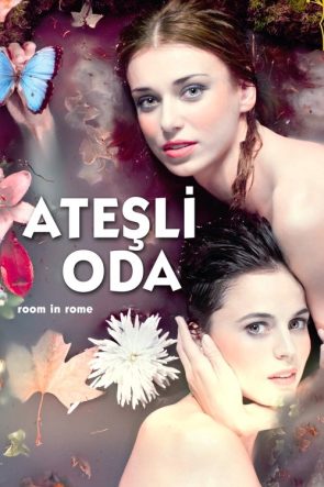 Ateşli Oda izle (2010)