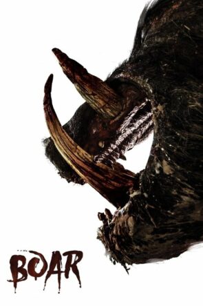 Boar izle (2018)