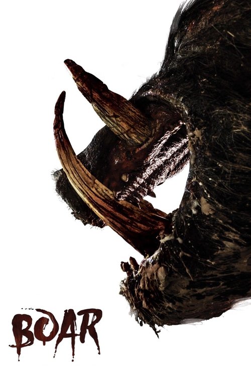 Boar izle (2018)