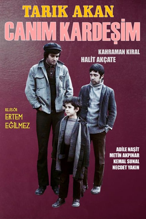 Canım Kardeşim izle (1973)