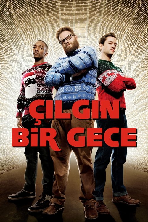 Çılgın Bir Gece izle (2015)