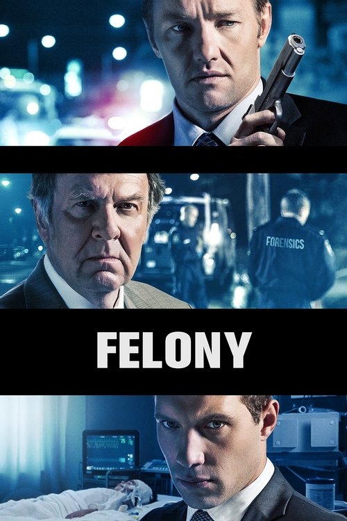 Felony izle (2014)