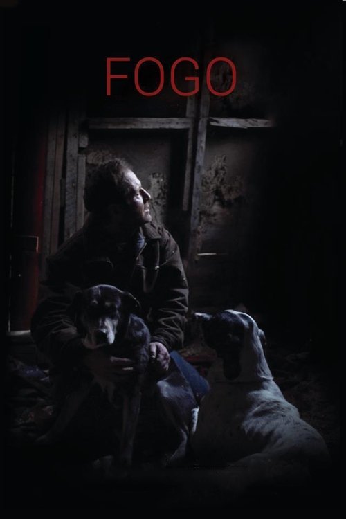 Fogo izle (2012)
