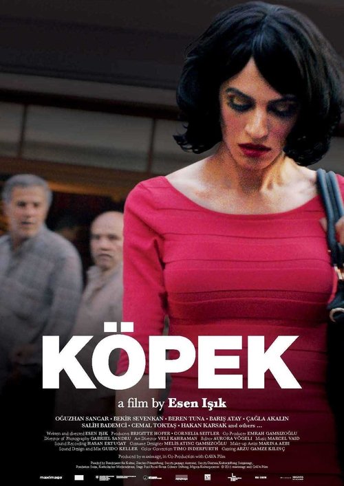 Köpek izle (2015)