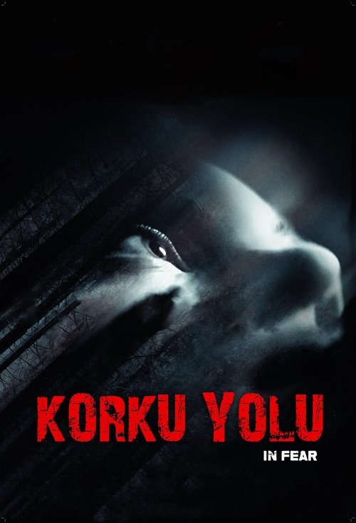 Korku Yolu izle (2013)