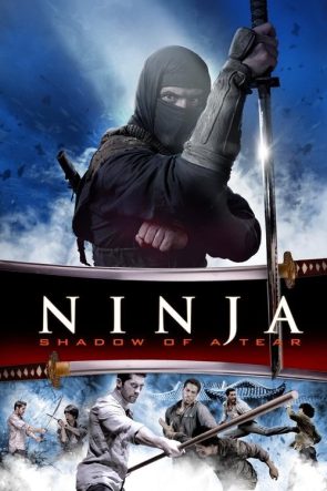 Ninja 2: Gözyaşının Gölgesi izle (2013)