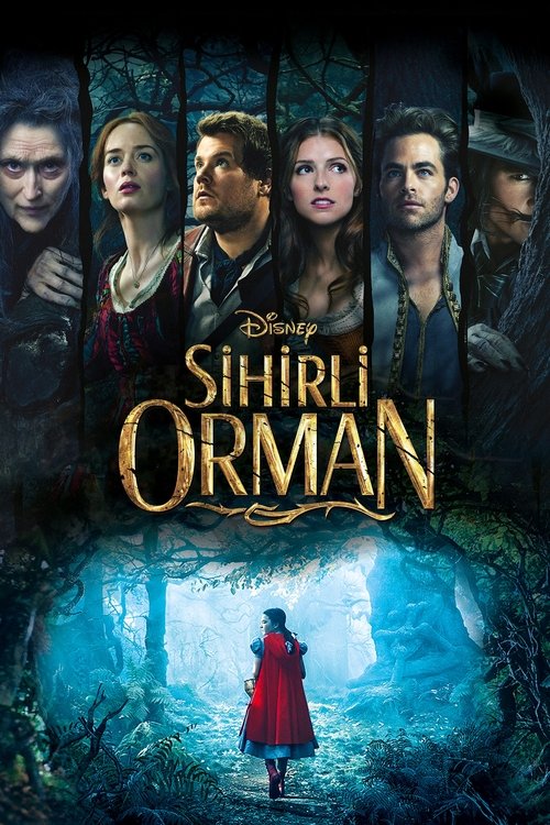 Sihirli Orman izle (2014)