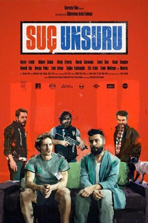 Suç Unsuru izle (2019)