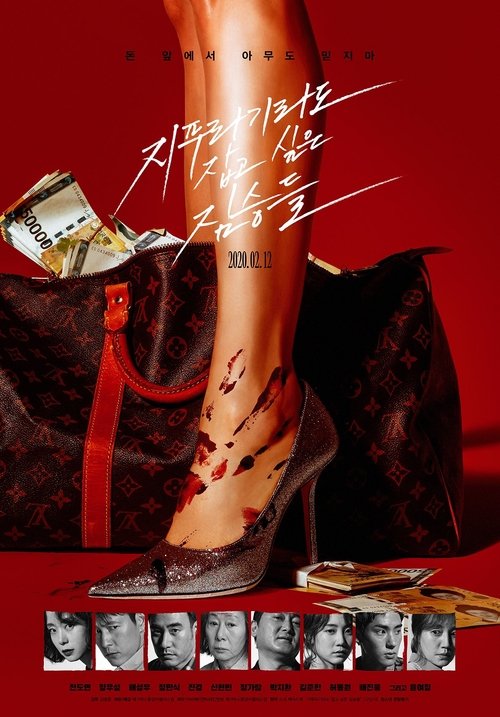 Talih Kuşu izle (2020)