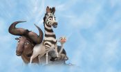 Cesur Zebra izle (2013)