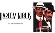 Harlem Geceleri izle (1989)