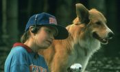 Kahraman Köpek Bingo izle (1991)