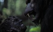 Primal Rage izle (2018)